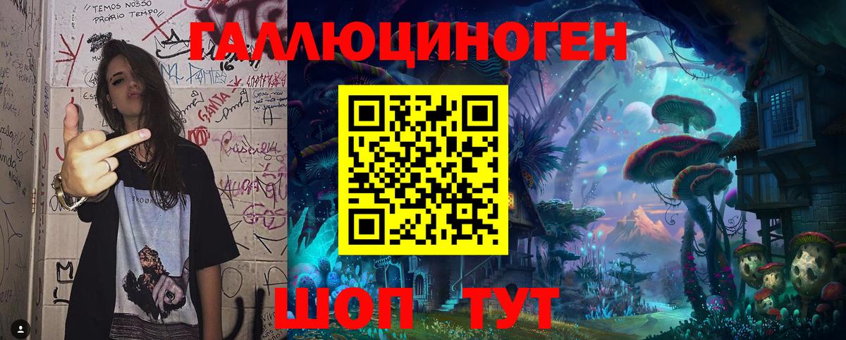 Галлюциногенные грибы Psilocybe Великий Устюг