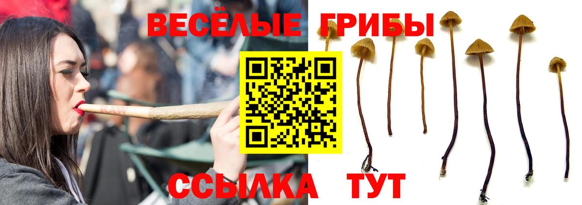 Великий Устюг  Галлюциногенные грибы MAGIC MUSHROOMS  Вход с VPN 
